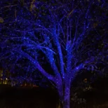 solarne plave lampice 100 led za romantični ambijent na otvorenom euroshop