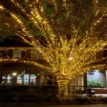 Solarne sijalice žuta 30m uz krovne ivice; toplo ambijentalno osvetljenje sa automatskim paljenjem u sumrak