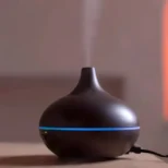 Difuzer za dom